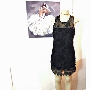 NWT speechless black velvet print shift dress